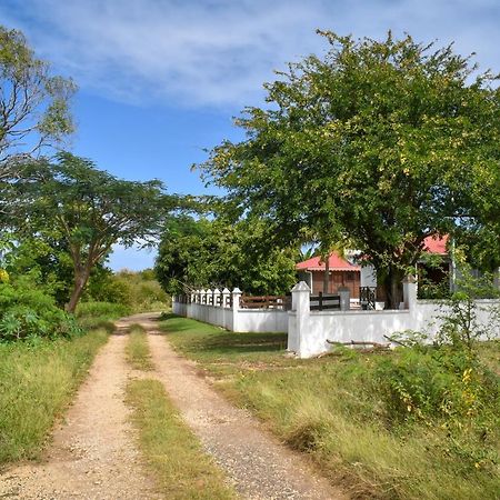 Gîtes du Domaine de la Canne à Sucre Anse-Bertrand Exterior foto